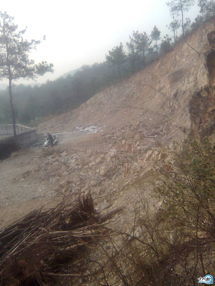 义乌上溪镇黄山村有人大肆挖山,土地所有权不明,村委可能受贿