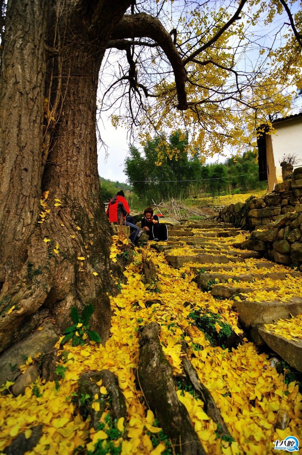 【阳光下户外最美秋色】2016年11月20日周日休闲徒步临安指南村,探访