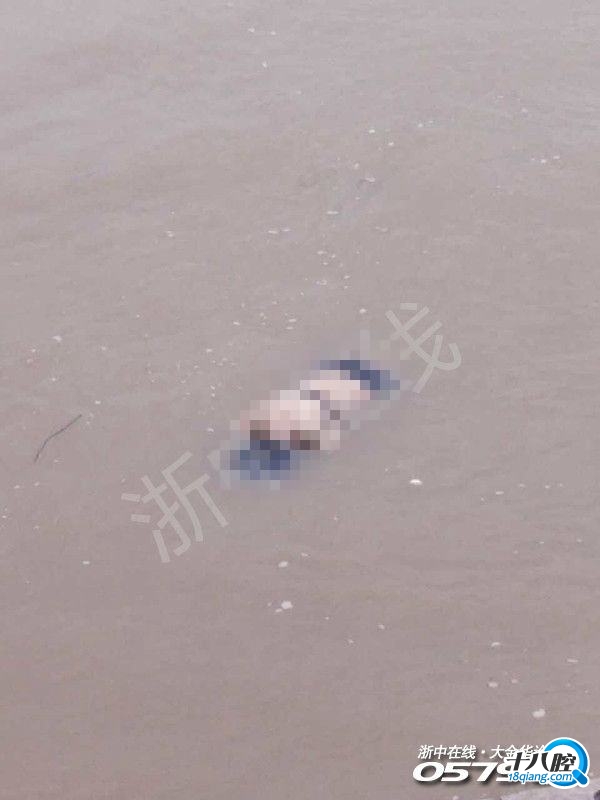 突发!金华通济桥头惊现一具女性浮尸