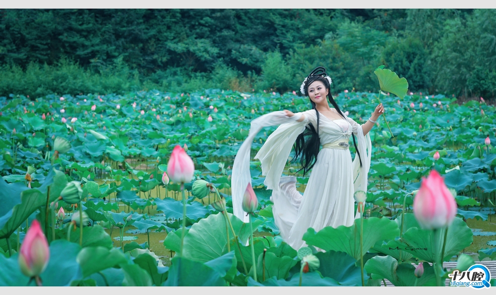 唯美风光人像【荷花仙子】