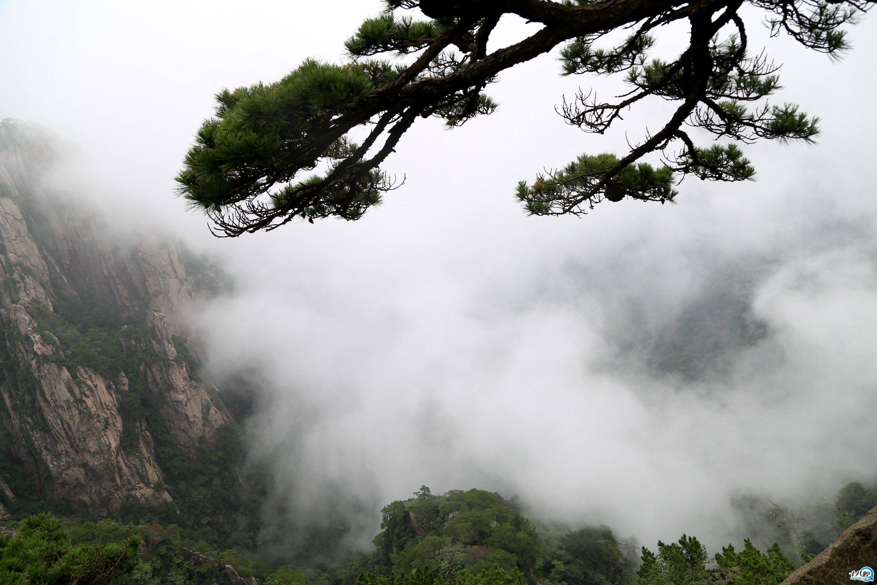 黄山云雾
