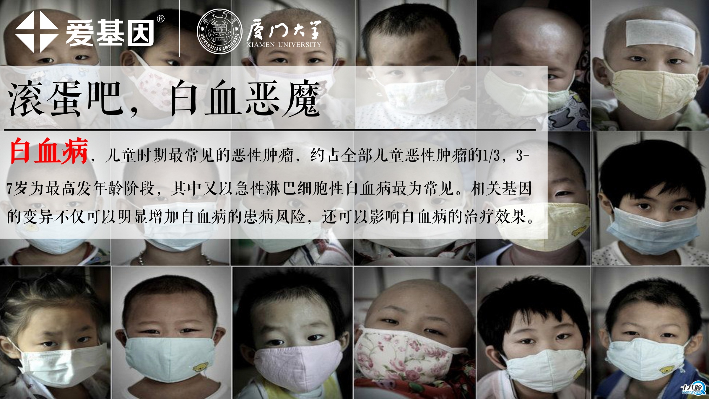 义乌儿童可以免费筛查白血病了，仅限100份。|便民服务 -
