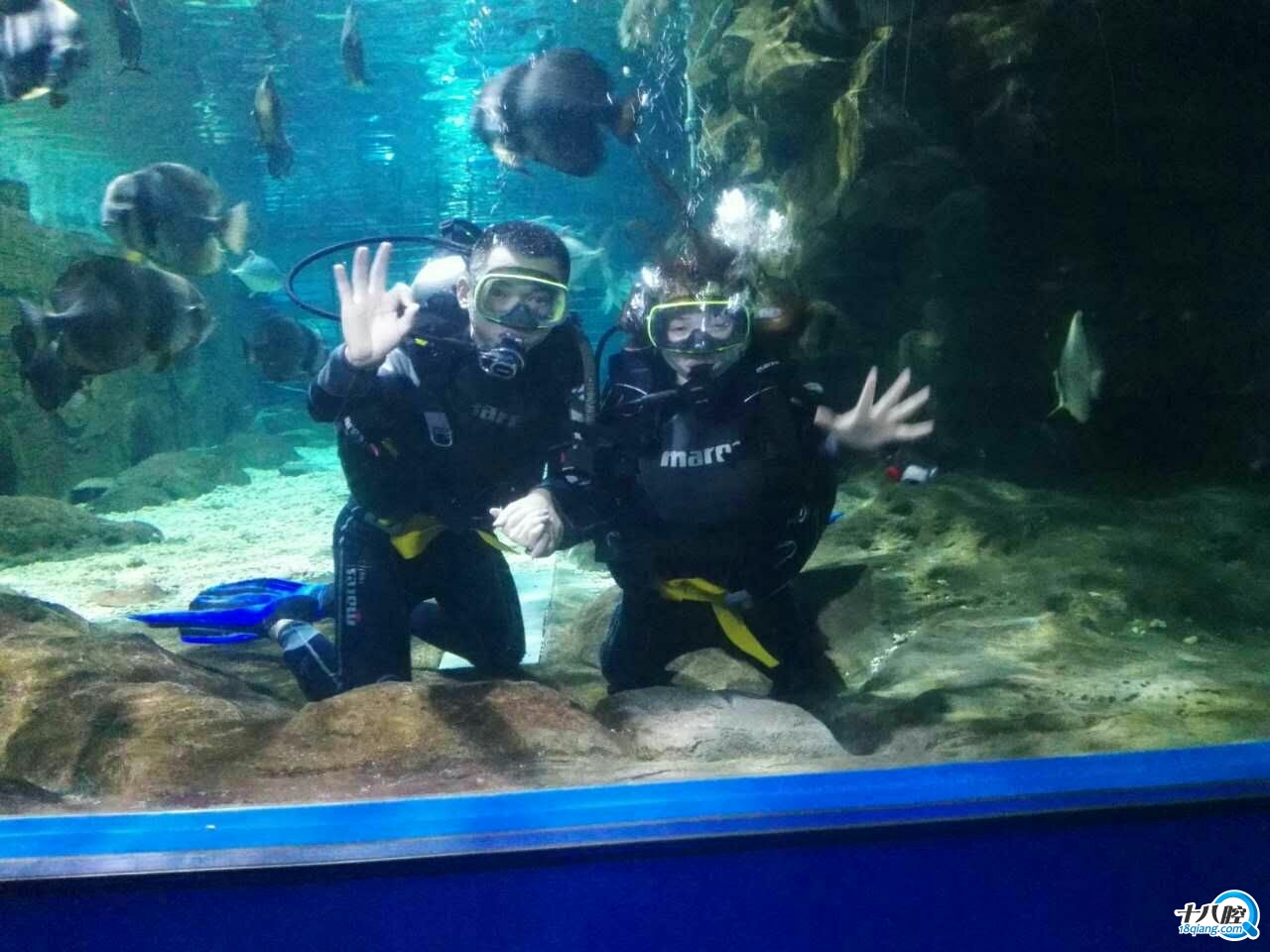 体验潜水 Discover Scuba Diving 对潜水很感兴趣,但正犹豫是否要参加潜水课程?来参加体验潜水吧!体验潜水课程以轻松方式介绍潜水,您将学会一些潜水基本概念,并在PADI教练的督导之下,在游泳池环境中体验潜水的乐趣与刺激。 为什么要参加体验潜水? 建议每一个萌生过潜水念头、对海洋世界有好奇心的人,都来体验潜水。因为尝试过,才不会错过;因为尝试过,才知道喜欢。体验像鱼儿一样在水中畅游,体验在无重状态下在水底自由的漫步,感受失重状态下的那份惬意和逍遥,感受潜水给您带来的无限刺激和乐趣。这将改变