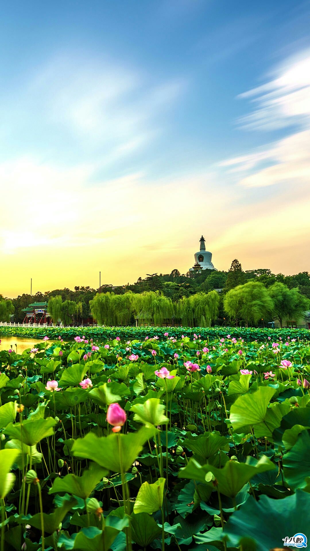 发两张美美的风景图,看着心情也爽