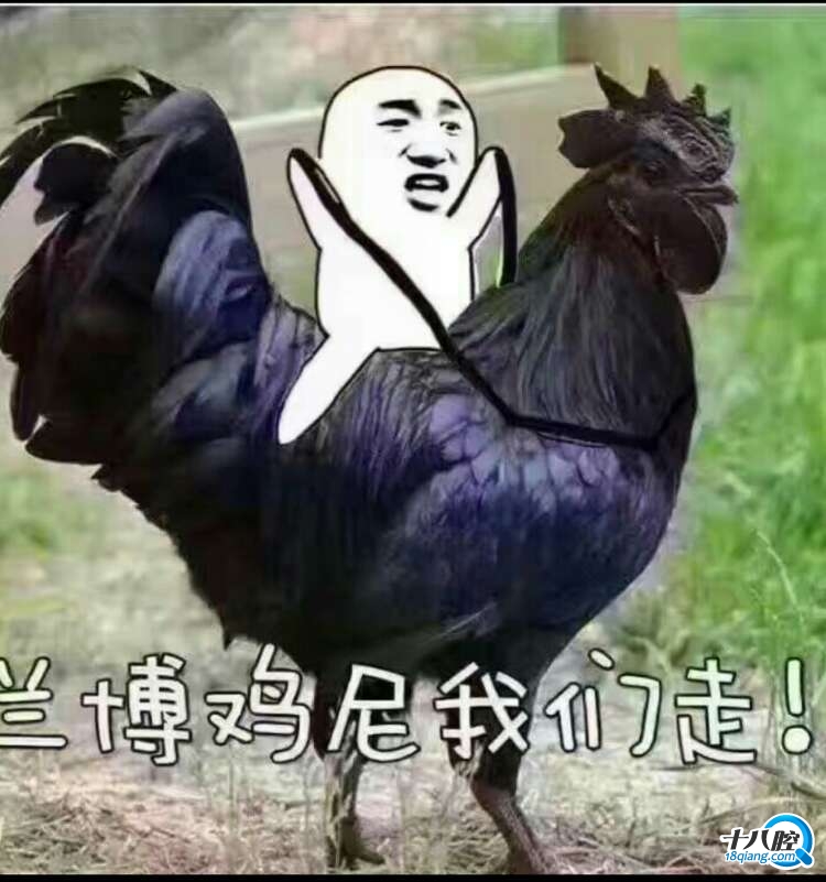 有没有人认识这辆车的车主?|乌伤茶馆