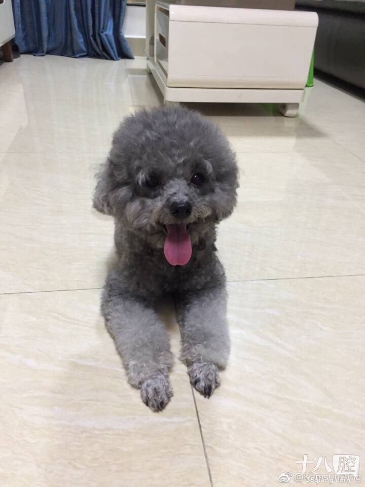 杭州哪个医院好,看小孩子眼科,求推荐