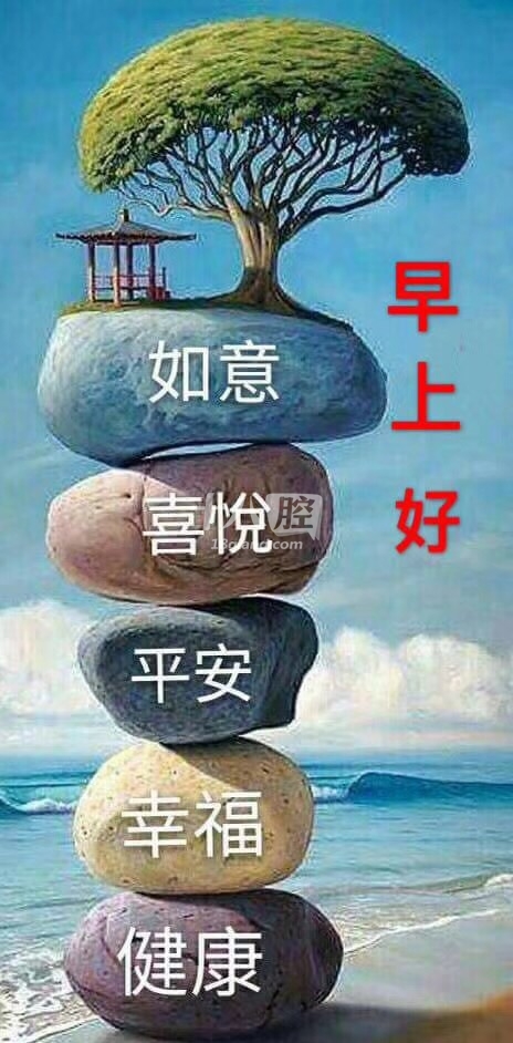 早上好