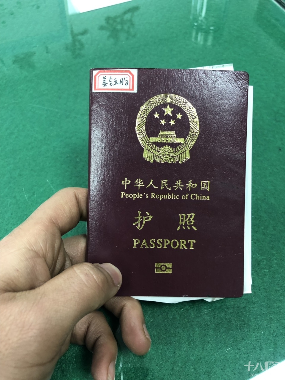 护照找主人