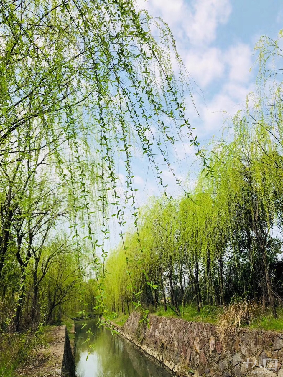 什么的春风吹着图片_纵览新闻