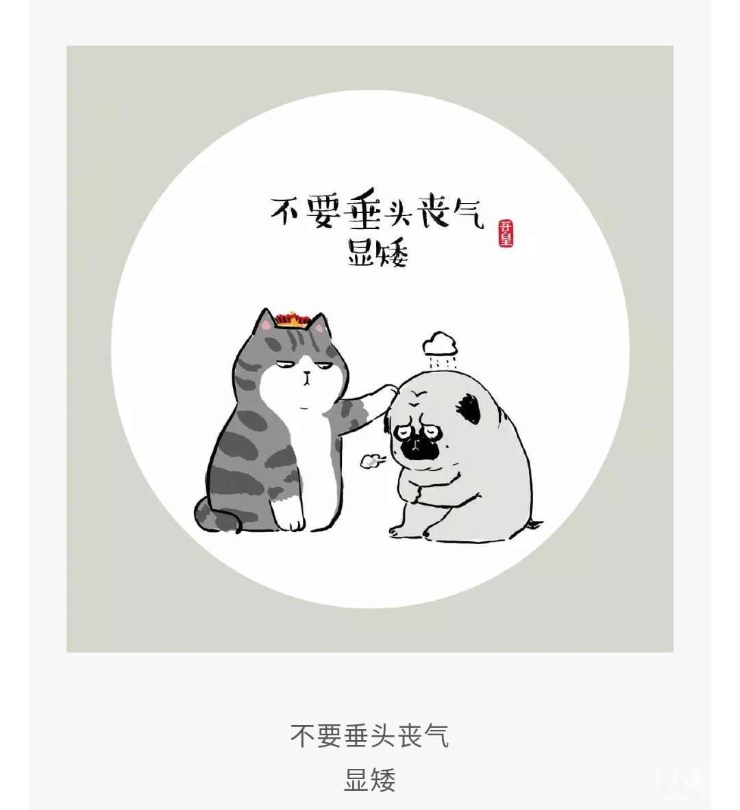 哈哈,扎心了,这些图,不要垂头丧气,显矮