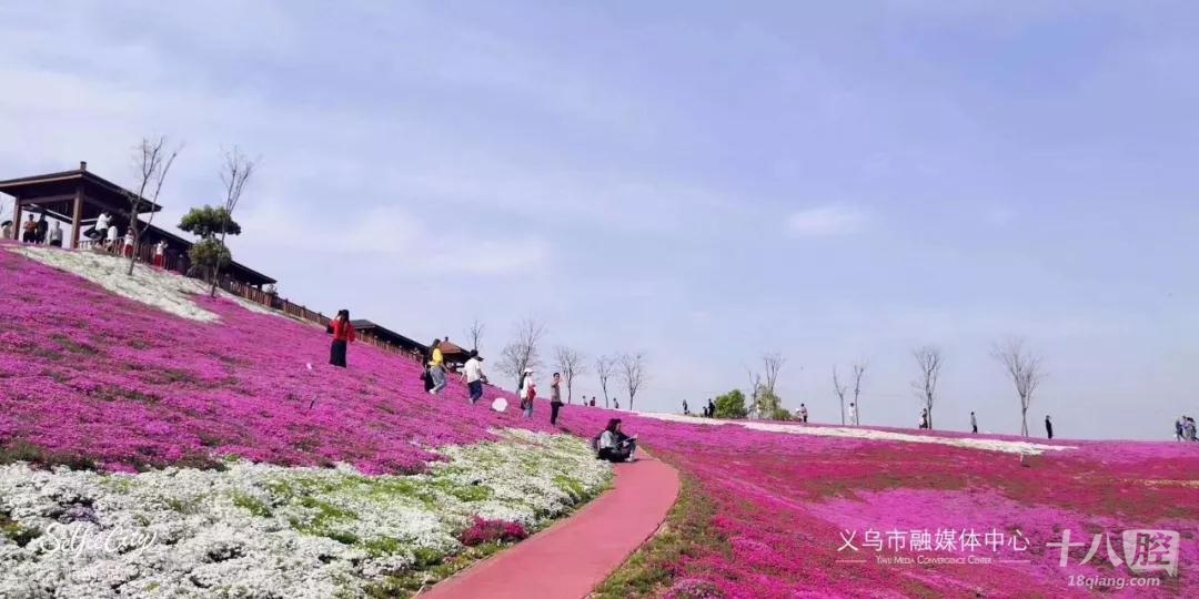 高峰时,每天近7万游客!义乌这个"网红村"又一新景点即将开放!