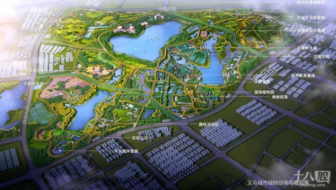 华东地区规模最大的义乌植物园开工建设!