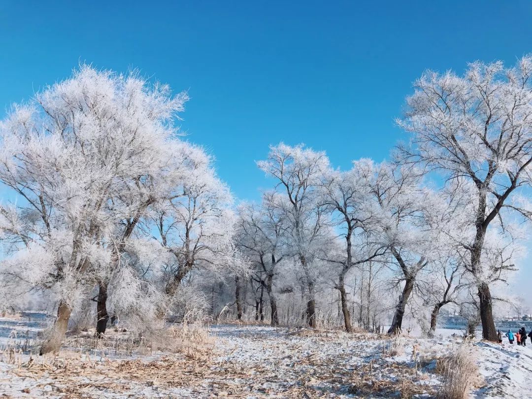 东北冰雪童话 | 哈尔滨-雪乡-亚布力-滑雪-温泉-雪地卡丁车-马拉爬犁