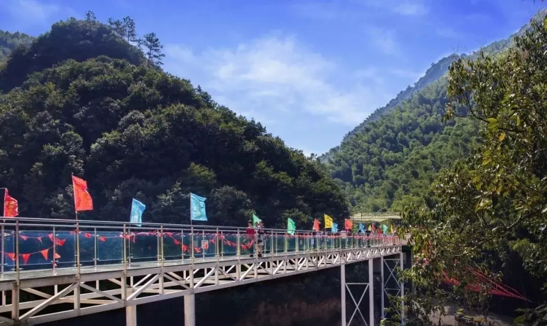 网红竹林滑道,9d玻璃桥!义乌出发1h到这个景区,惊险刺激嗨到爆!