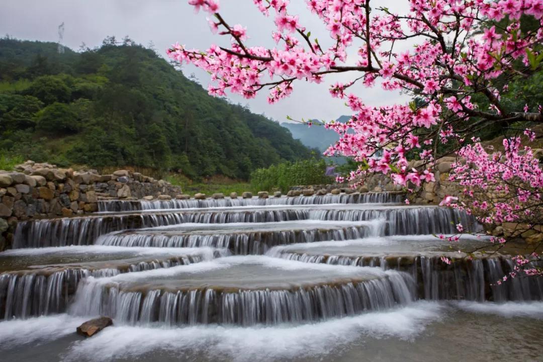 春暖花开,浦江这些美景可以游起来