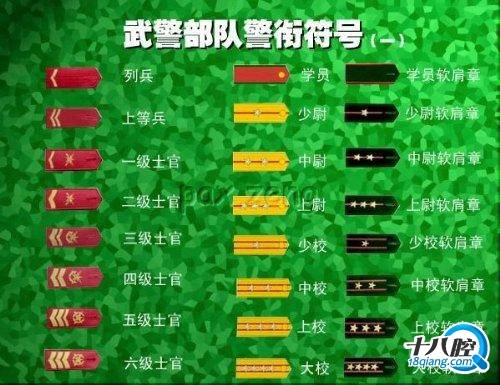 不会被抓吧?