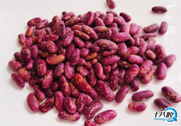 食物中的补钙冠军!|吃货来了 - 义乌十八腔论坛