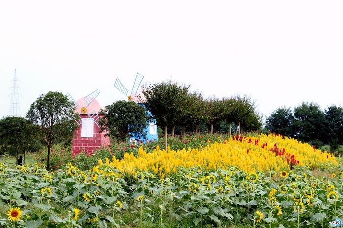 福劳尔乐园蹭拍|行行摄摄 - 义乌十八腔论坛