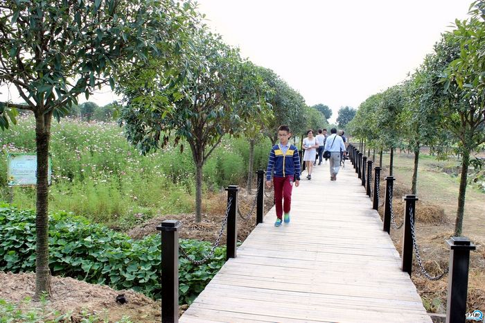 福劳尔乐园蹭拍|行行摄摄 - 义乌十八腔论坛