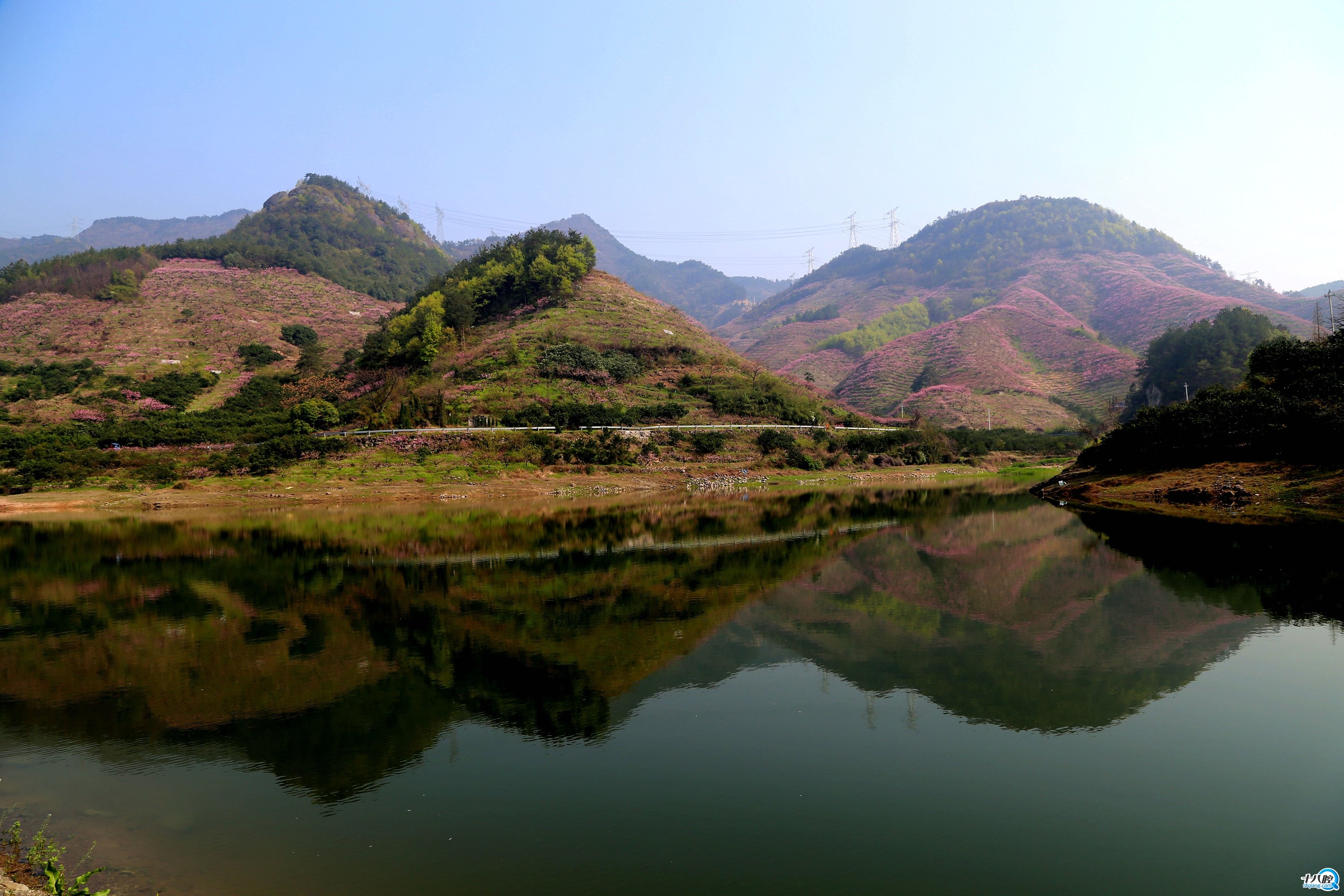 源东桃花印象之一