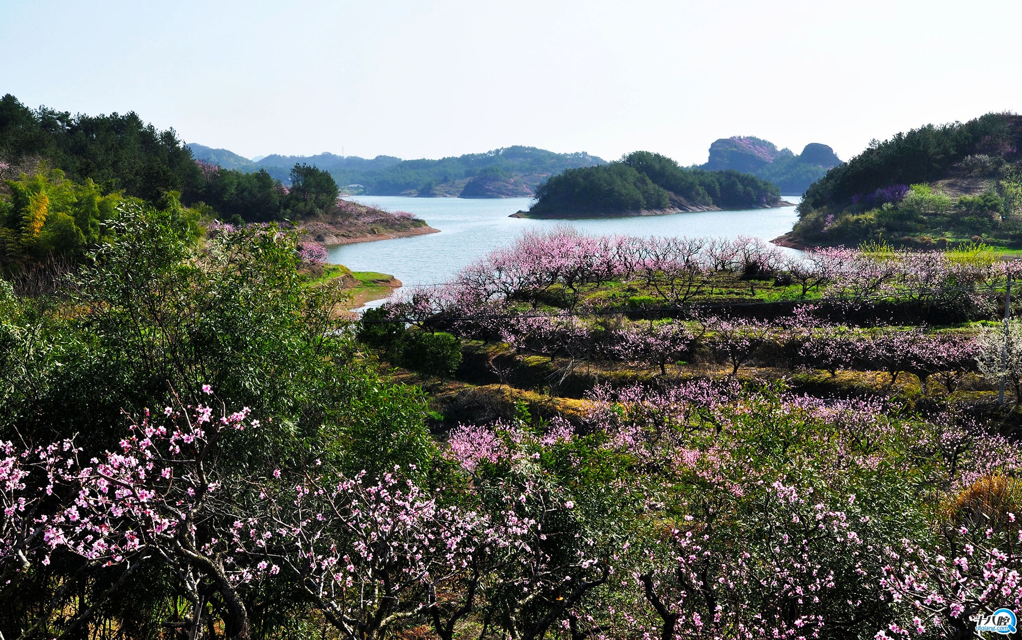 "城市映像 绿色义乌"—绿色义乌