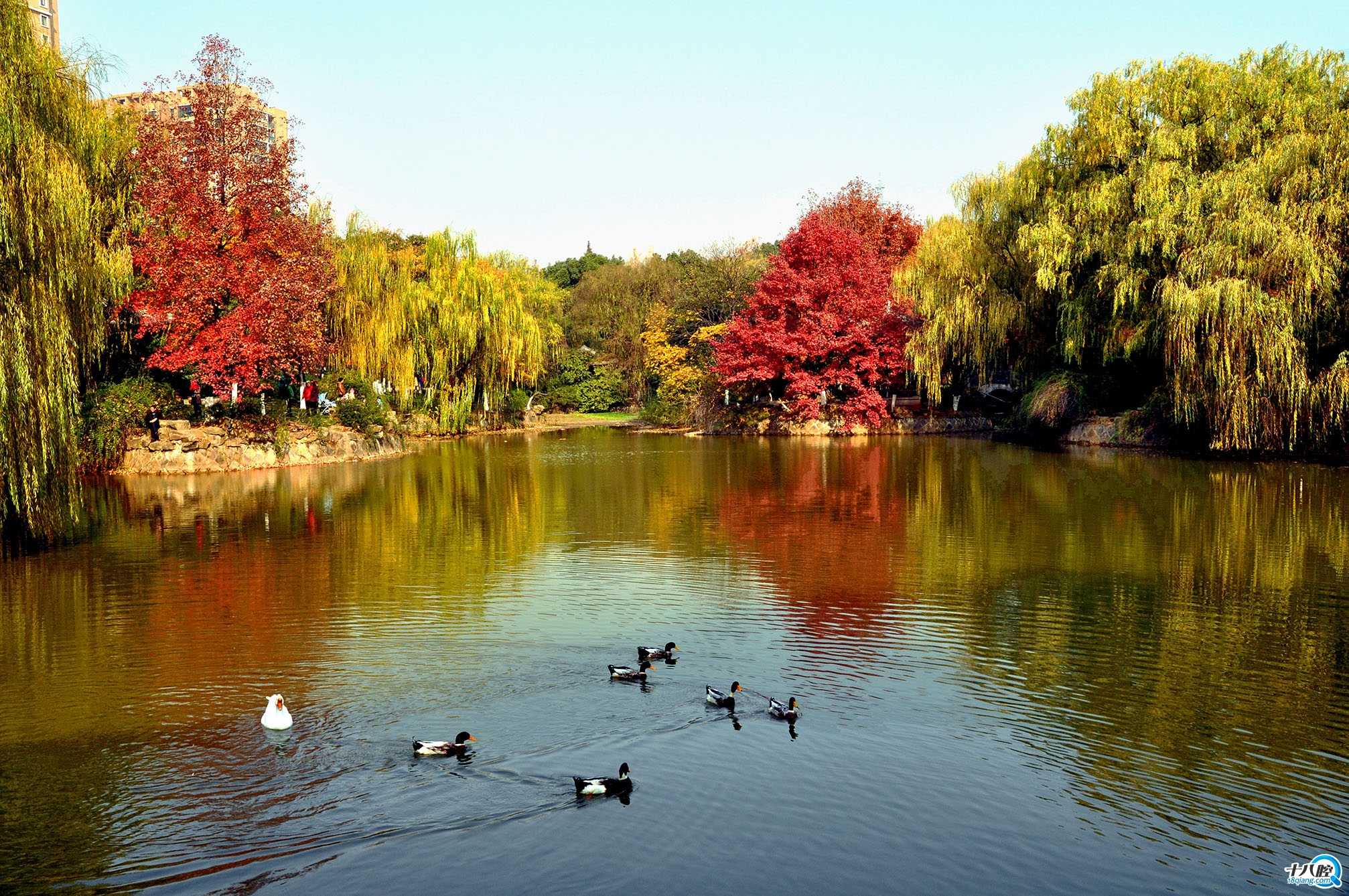 2.骆宾王公园秋景