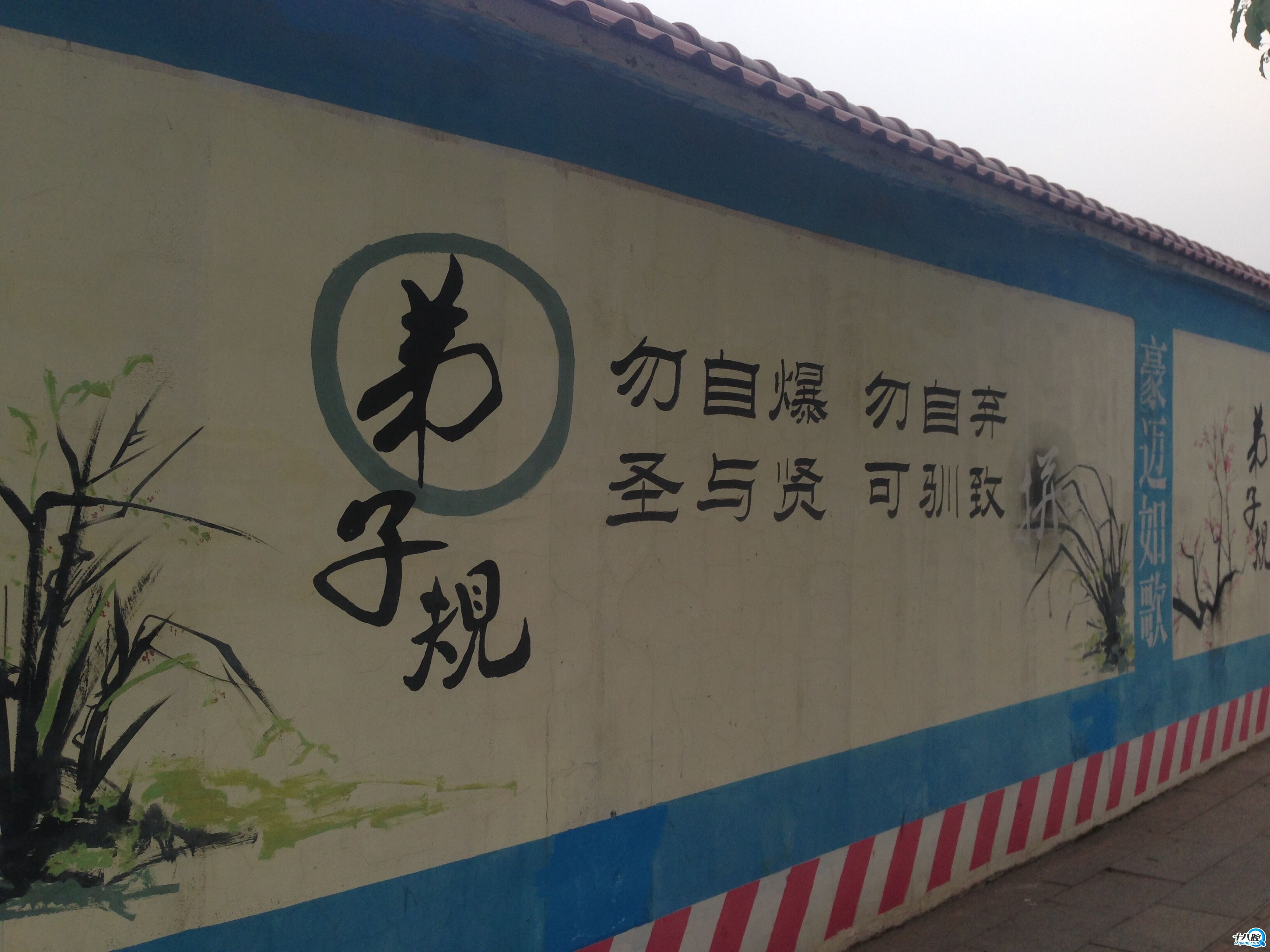 说说你身边的错别字