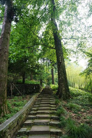 00元(含劍池,蘆花蕩公園,白雲山館,武陵村等莫干山景區所有景點) 開放