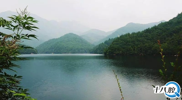 61.義烏市蘇溪鎮新型城鎮化項目