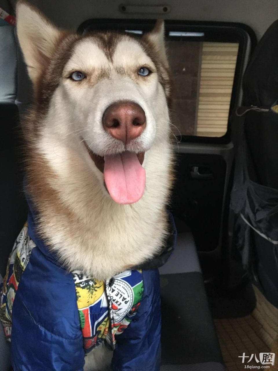 2.28 塞班走起约