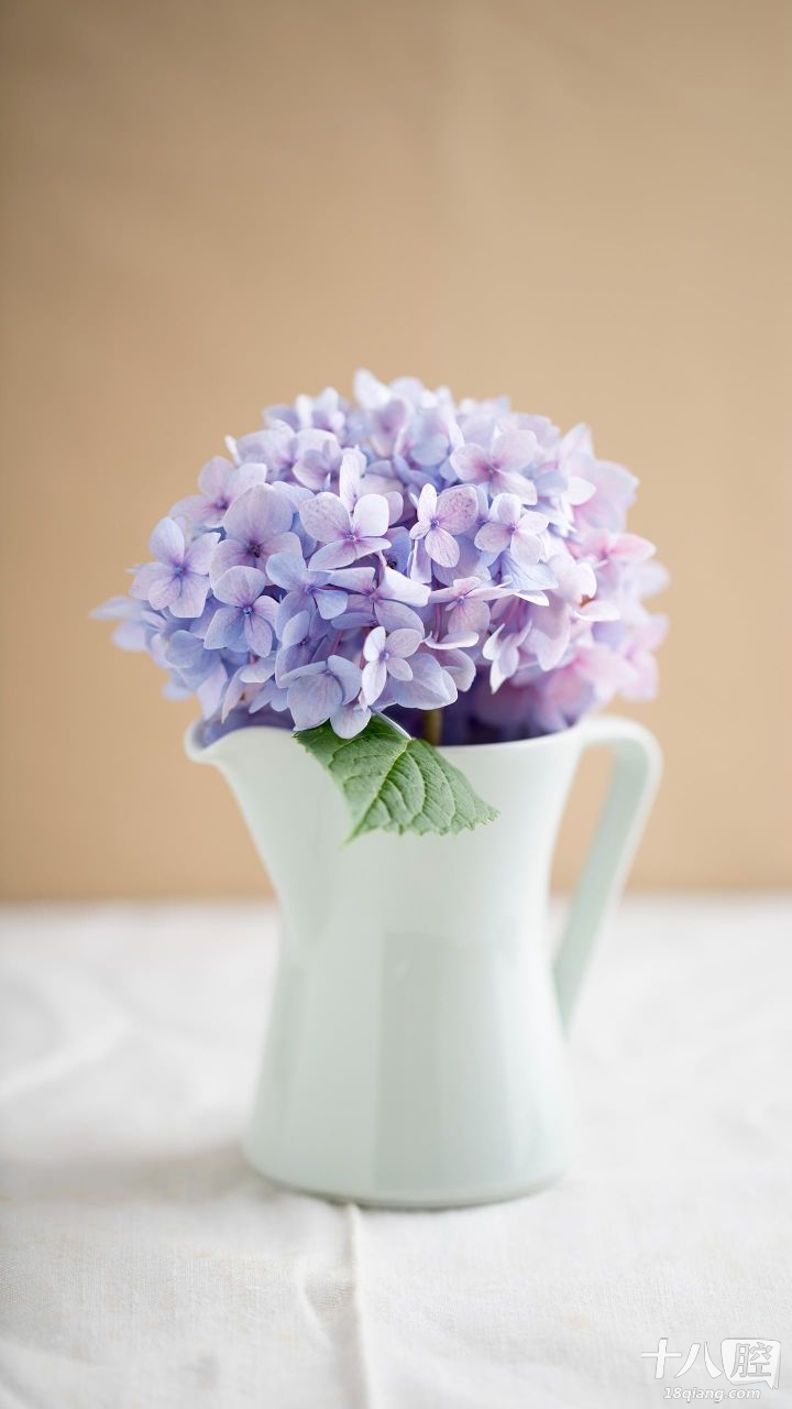 急聘-义乌十八腔