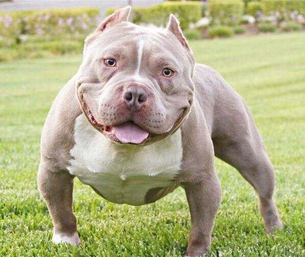 城市花园··62平,2f··115万··精装·满2