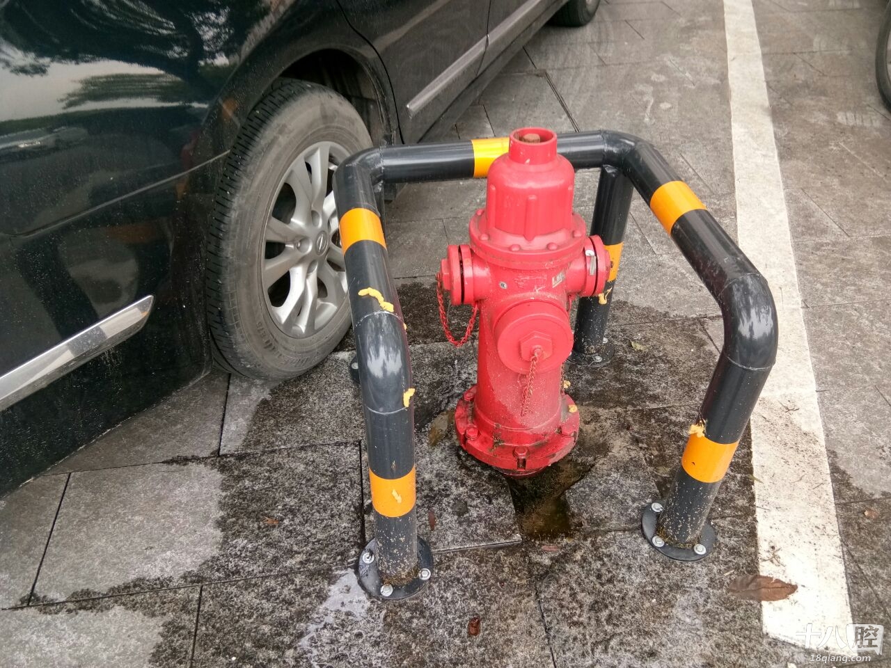 这个消防栓一直在漏水,有关部门在哪