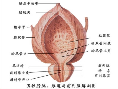 爱情需要长"久",一个义乌男人的自述
