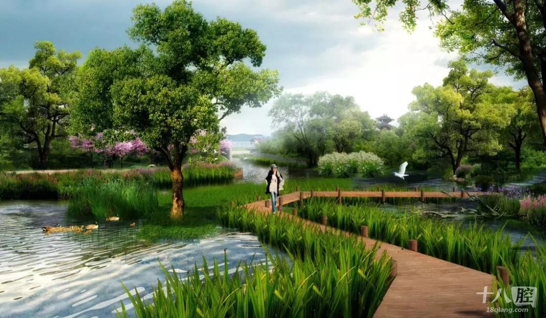 84平方公里!义乌将打造城市绿肺湿地休闲植物园!今年启动建设!