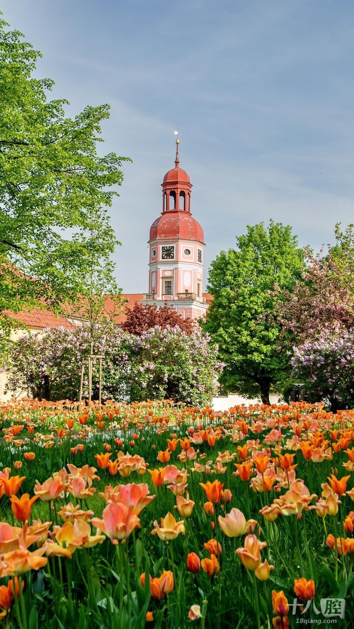 买二手房有没有靠谱的中介推荐呢?