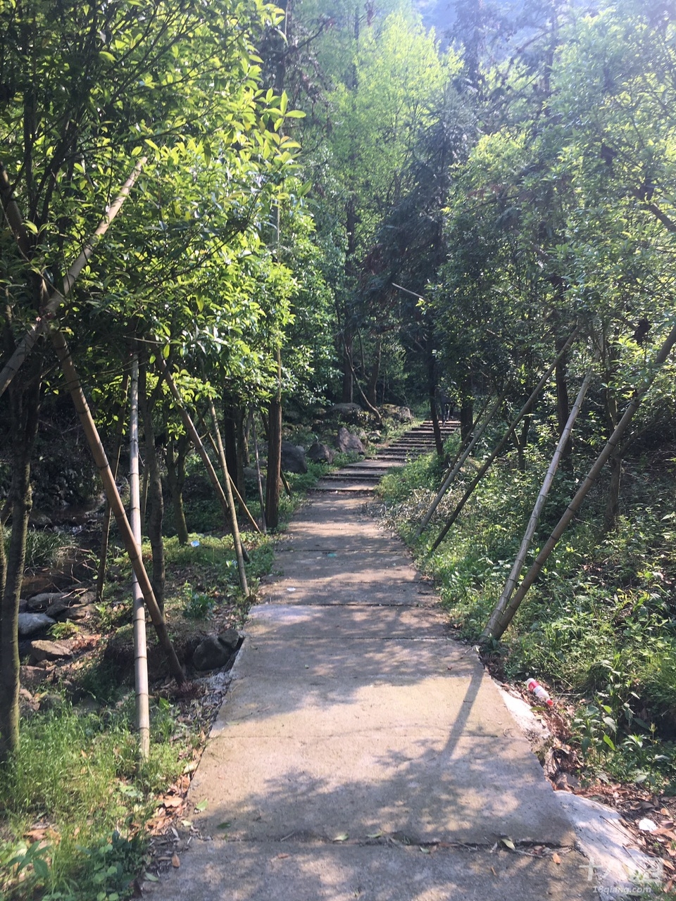 义乌森林公园图片