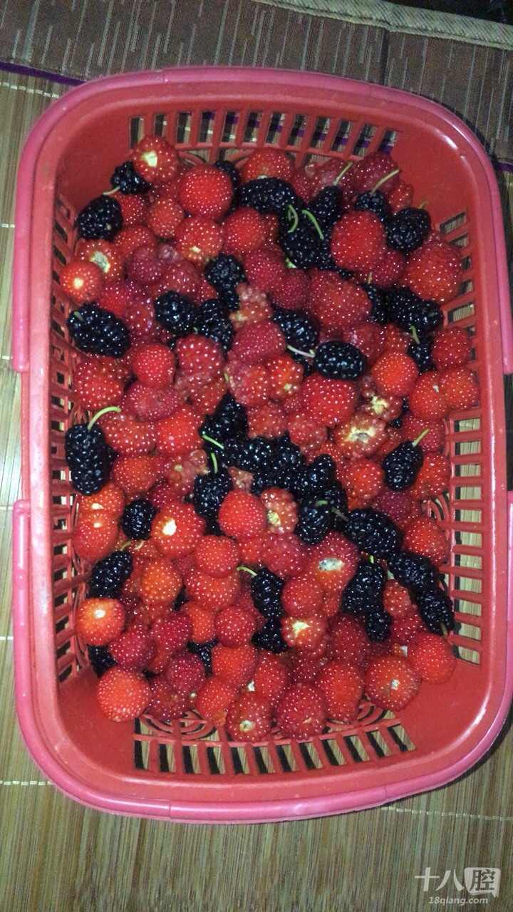 感觉想起了小时候