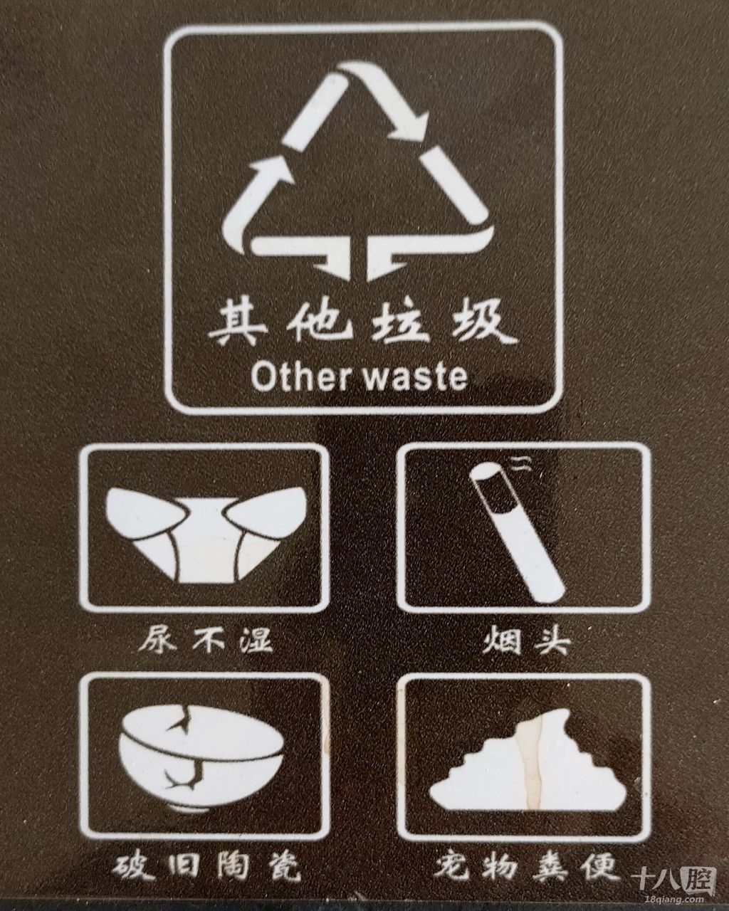 来自酷猫一代的帖子