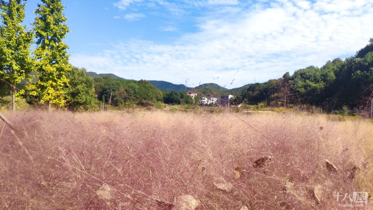 佛堂小六石真美