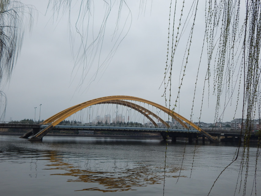 初七- 浙江蜜蜂集团的个人主页 - 义乌十八腔论坛