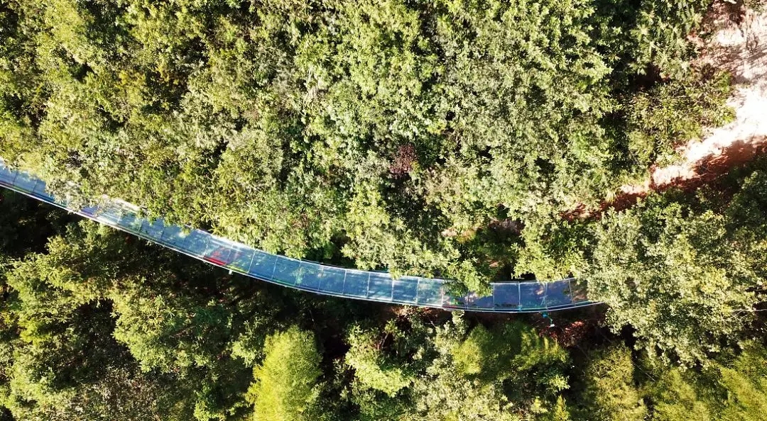 还有网红呐喊泉与竹海滑道,义乌出发1h!