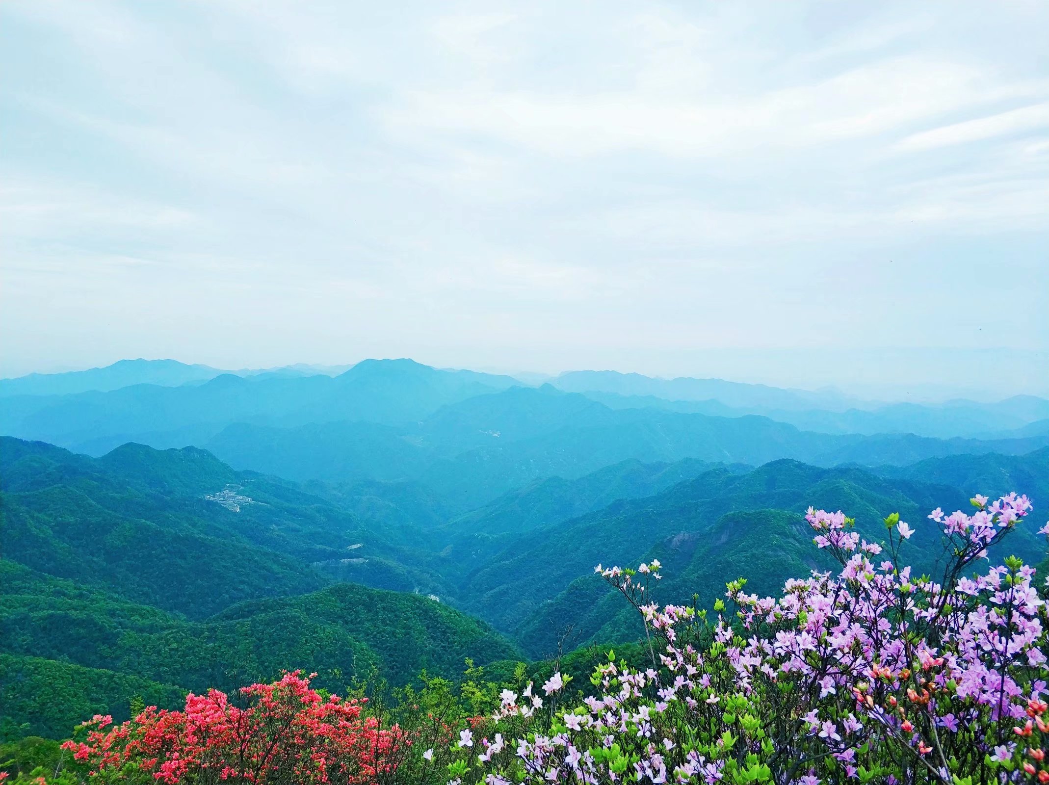 《大寒尖 登山賞景》戶外休閒徒步分享帖