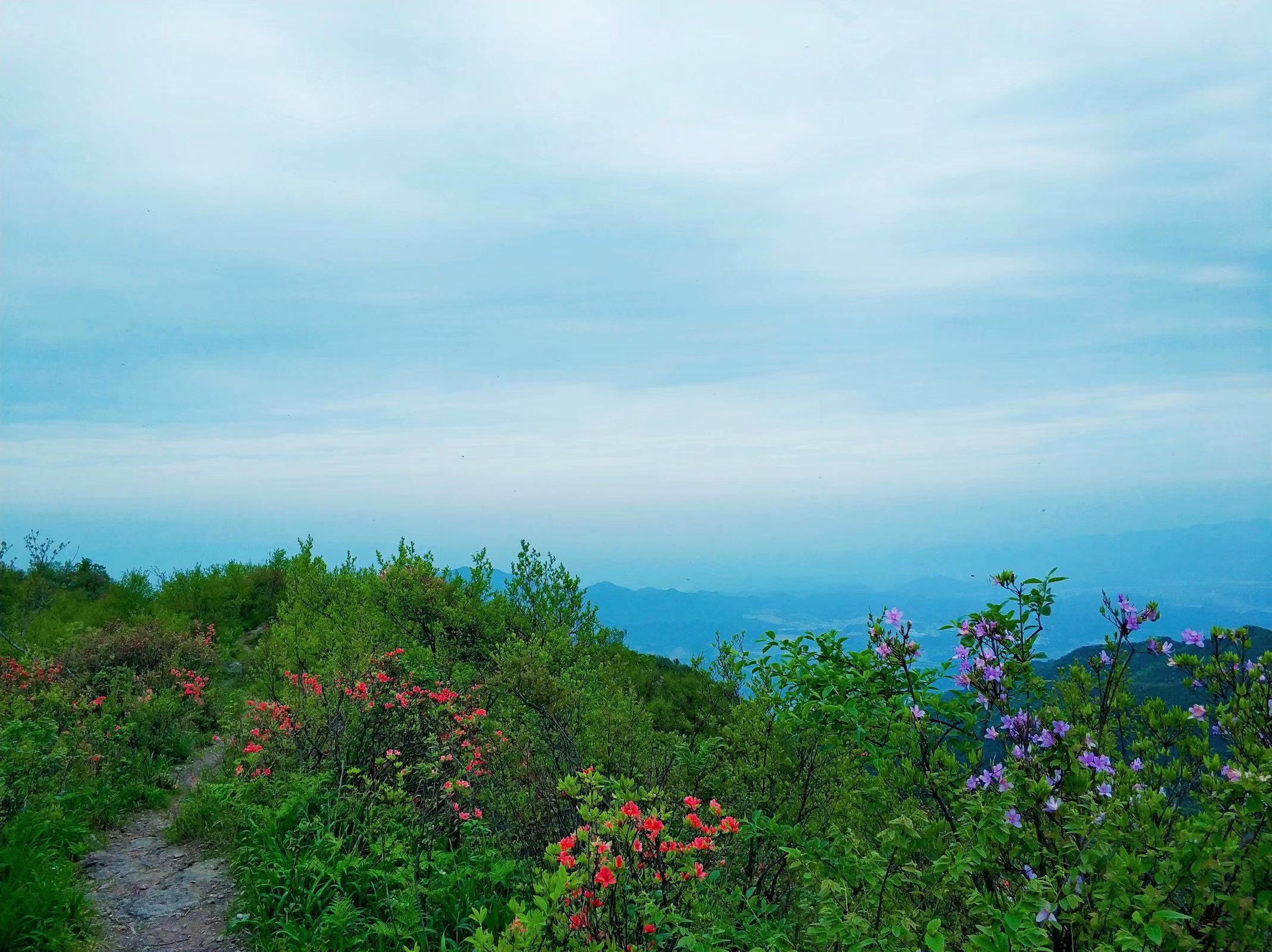 《大寒尖 登山赏景》户外休闲徒步分享帖|驴友户外 - 义乌十八腔论坛