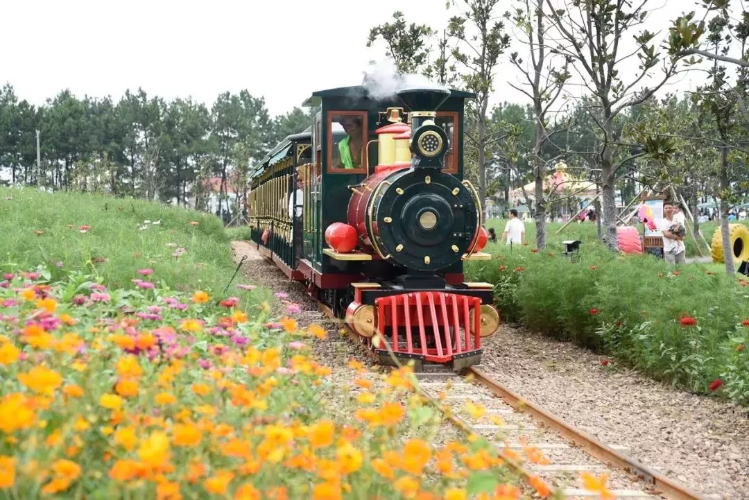 坐上綠皮小火車,沿著軌道穿過繽紛花海,兩邊都是花團錦簇的花田,進入