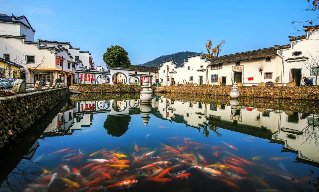 春暖花开,浦江这些美景可以游起来