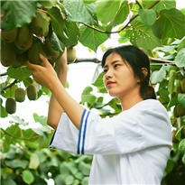 �����������Ϫ���