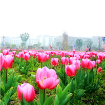 �߽���� ��������